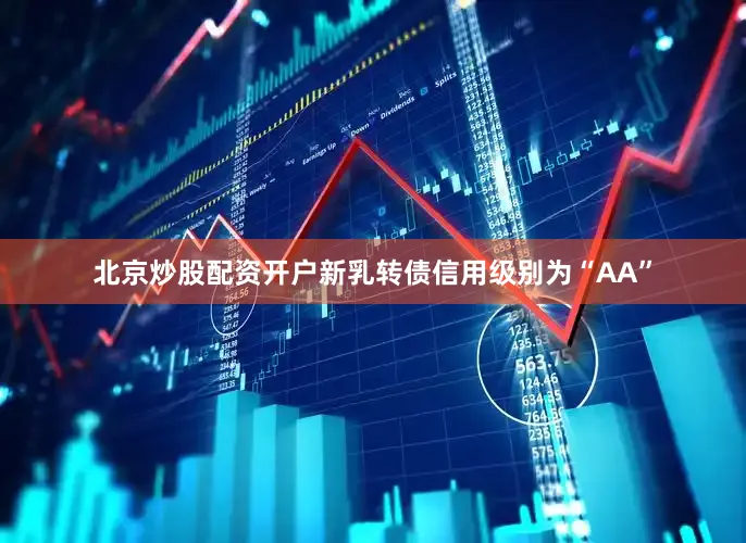 北京炒股配资开户新乳转债信用级别为“AA”
