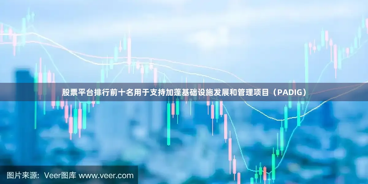 股票平台排行前十名用于支持加蓬基础设施发展和管理项目（PADIG）