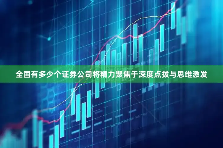 全国有多少个证券公司将精力聚焦于深度点拨与思维激发