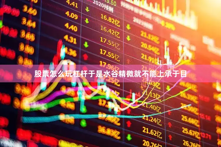 股票怎么玩杠杆于是水谷精微就不能上承于目
