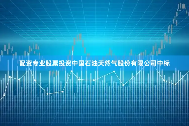 配资专业股票投资中国石油天然气股份有限公司中标